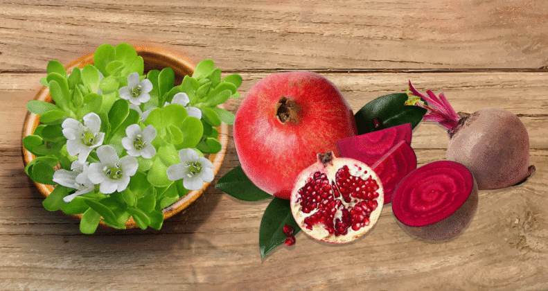 BeepActive: Beetroot & Pomegranate for Wellness