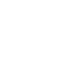 Heart Icon