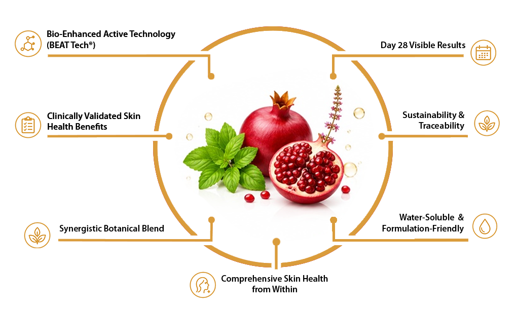 Infographic around a central pomegranate with leaves listing seven skin-health benefits and tech features.