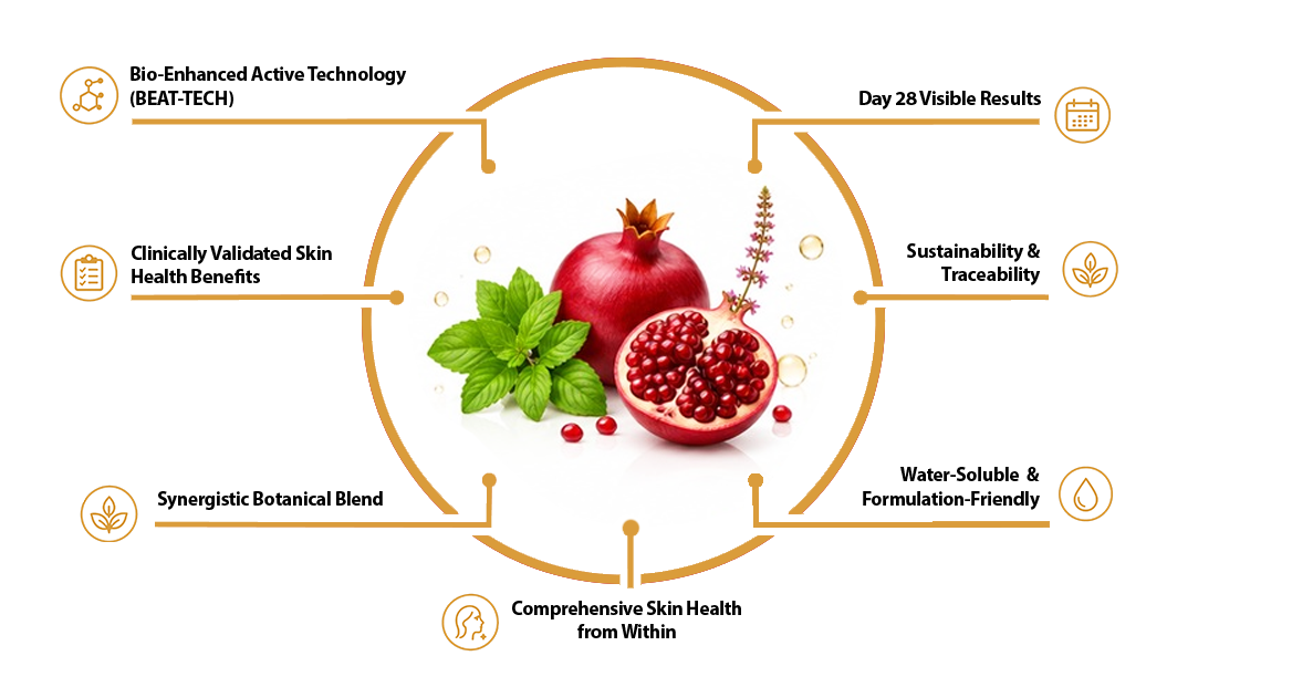 Infographic circle around a pomegranate detailing skin-health benefits: BEAT-TECH, clinically validated benefits, synergistic botanical blend, comprehensive skin health from within, day 28 visible results, sustainability & traceability, and water-soluble formulation-friendly.
